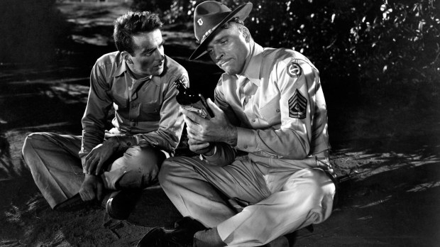 4KYW54L9cTm7icOVoBSSDuVb6Zw