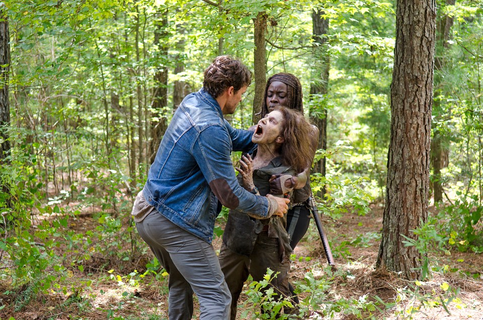 the walking dead serie woods