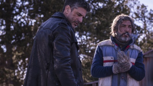 58853cf7c45a8_524_296!