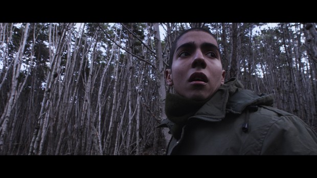 QTH_00-26-04-1600037552 media