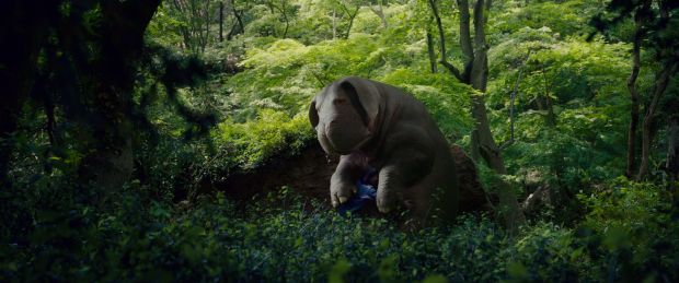 OKJA-FF2-021.jpg