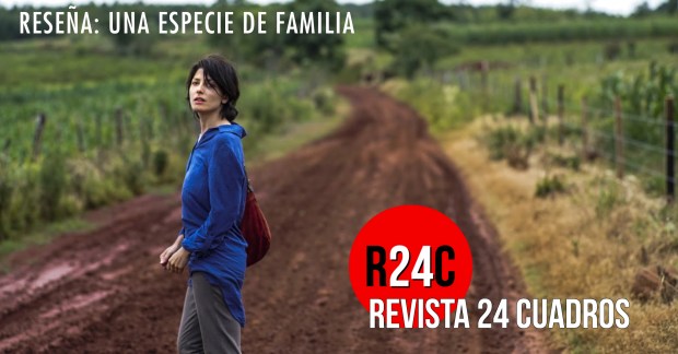 imagen destacada (1).jpg