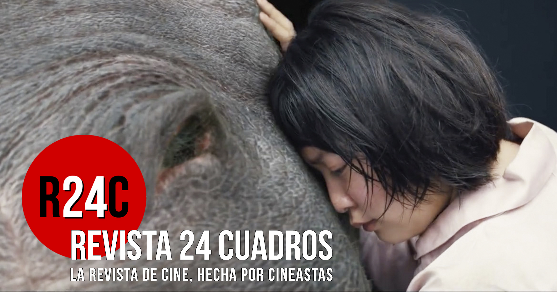 imagen destacada.jpg