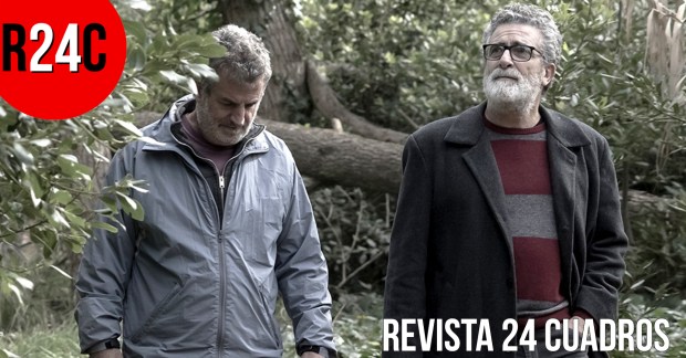 imagen destacada (3).jpg