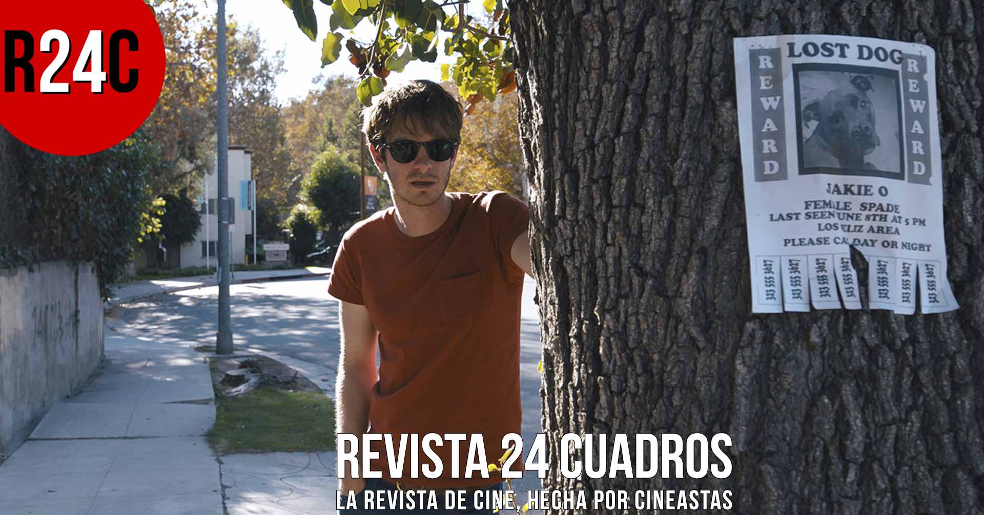 imagen destacada (4).jpg