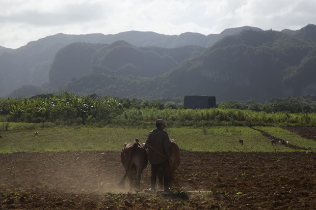 MV5BN2I5Zjk4OGUtNDMwYi00YTQzLWI3NjYtMWVmM2IwN2JmNTIwL2ltYWdlL2ltYWdlXkEyXkFqcGdeQXVyNjAzNTgyMTM@._V1_SY1000_SX1500_AL_