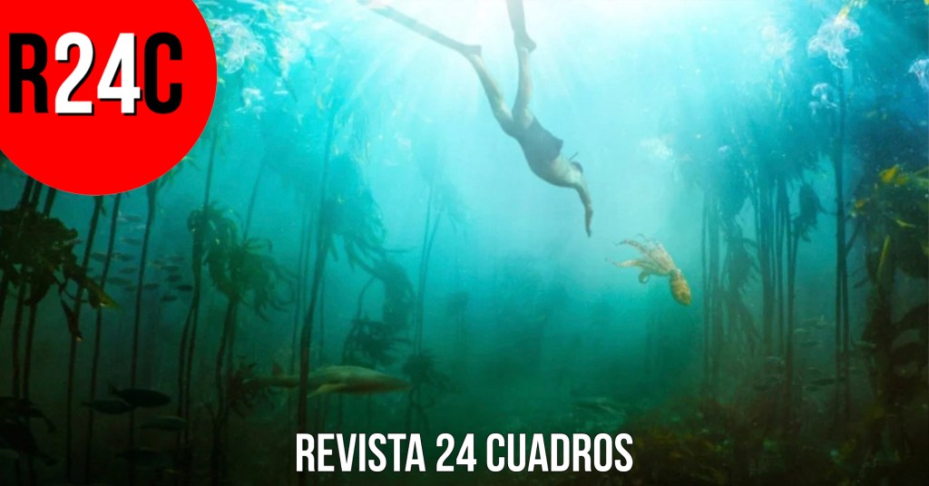 Mi maestro el pulpo: zen bajo el mar